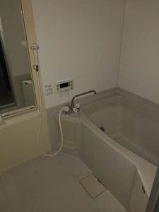 フレックス・カマタ　Ｂ 203号-9