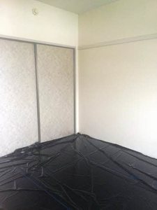 アネックス　Ｆ 101号-3