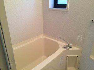 ビューバレー北中央 D 101号-2