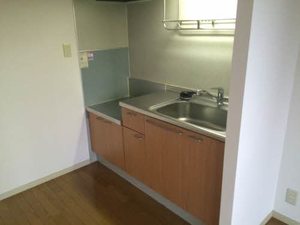 ビューバレー北中央 D 101号-7