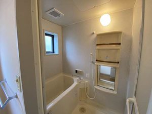 ビューラーＫⅡ 101号-6