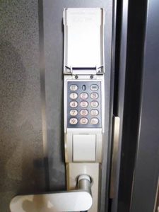 シンフォニー桃 102号-11