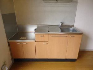 ＨＯＵＳＥ２８Ｃ 101号-5