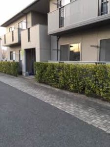 エステ－ト笹谷ＶⅡＢ 201号-10