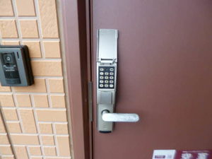 ダンディライオン 101号-2