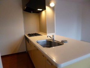 ダンディライオン 101号-4