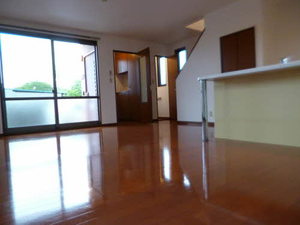 ダンディライオン 101号-7