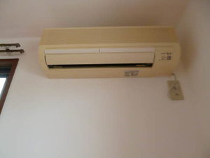 ダンディライオン 101号-14