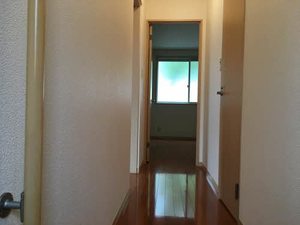 マジェスティ　Ⅳ 101号-10