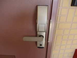 サングリ-ンA 202号-2