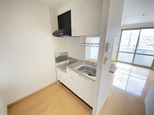 ラダックＡ 202号-4