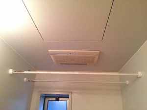 ヴィオーラ 101号-8