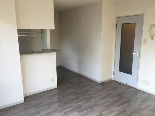 ドミール泉川　Ｃ 101号-4