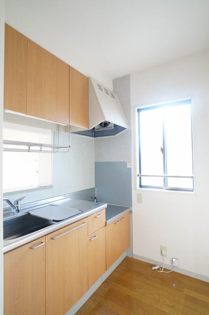 ビューラーKⅡ 201号-4