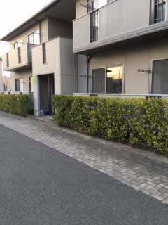 エステ－ト笹谷ＶⅡＢ 201号-10