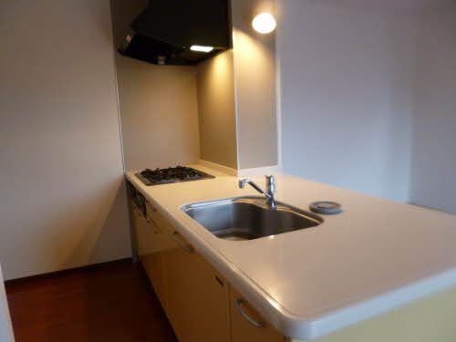 ダンディライオン 101号-4