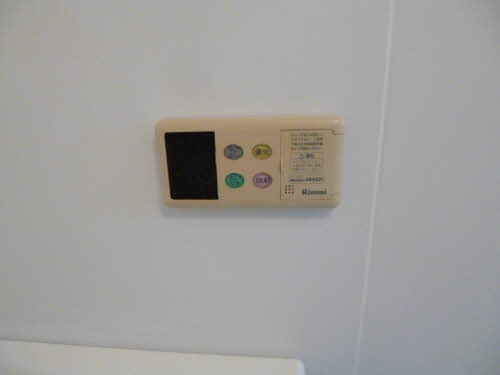 ダンディライオン 101号-10