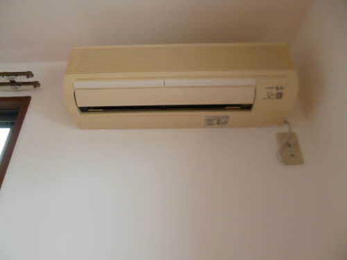 ダンディライオン 101号-14