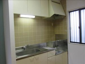 ジュネス昭和 202号-11