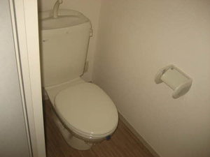 ビューラー美つ坦B 203号-8