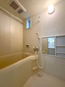 ビューラー美つ坦D 103号-11