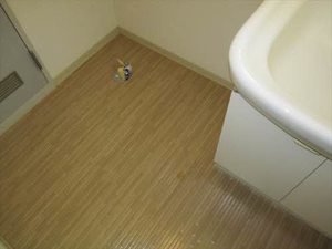 フレグランス逢瀬Ⅱ 201号-6