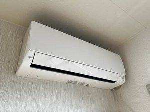 ディアス菜根B 202号-12