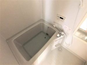 ディアス菜根B 203号-10