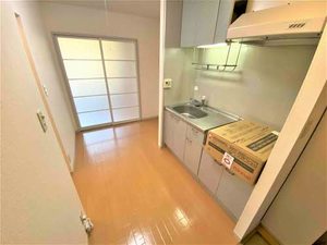 ドミールさくら 205号-9