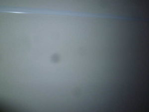 ライラックガーデンA 101号-8