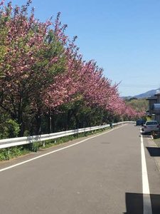 レジデンスＫ 202号-2