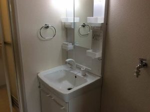 ビューラーＡ 101号-9