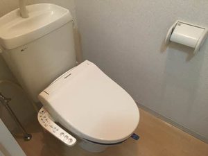 ドミール向山Ａ 205号-8