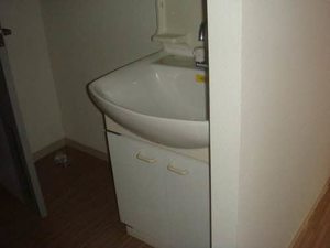 ドミール・アン 101号-5