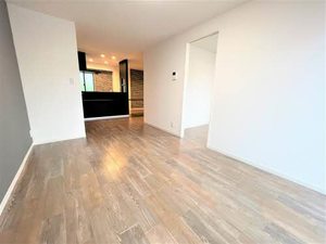 ドミール・ドゥ102-1