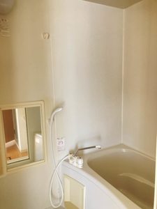 Ｓ．リトルバード 101号-5