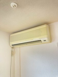 Ｓ．リトルバード 101号-11