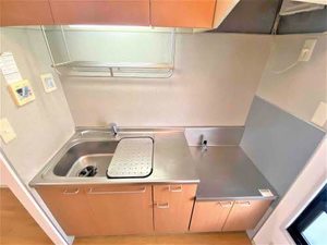 S.リトルバード 102号-10