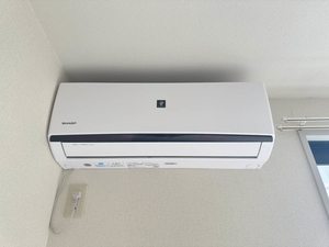 ビューパレーⅡ 103号-4