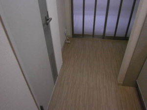 ビューパレーⅡ 203号-11