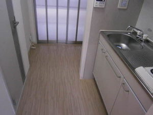 ビューパレーⅡ 203号-12