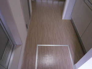 ビューパレーⅡ 203号-13