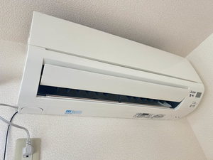 ジュネス リュウ 203号-9