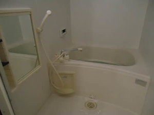 ドミールアイハラ 202号-10