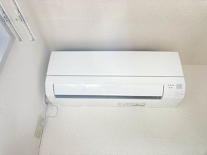 ヴォルテール　Ａ 201号-11