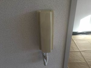 ヴォルテール　Ｃ 101号-13