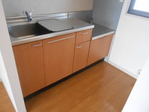 フラッツ渡辺 201号-3