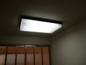 龍舎　Ａ 201号-2