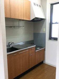 ドミールサトウ 201号-10