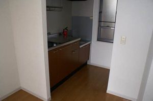 アースヴィレッジ 101号-7